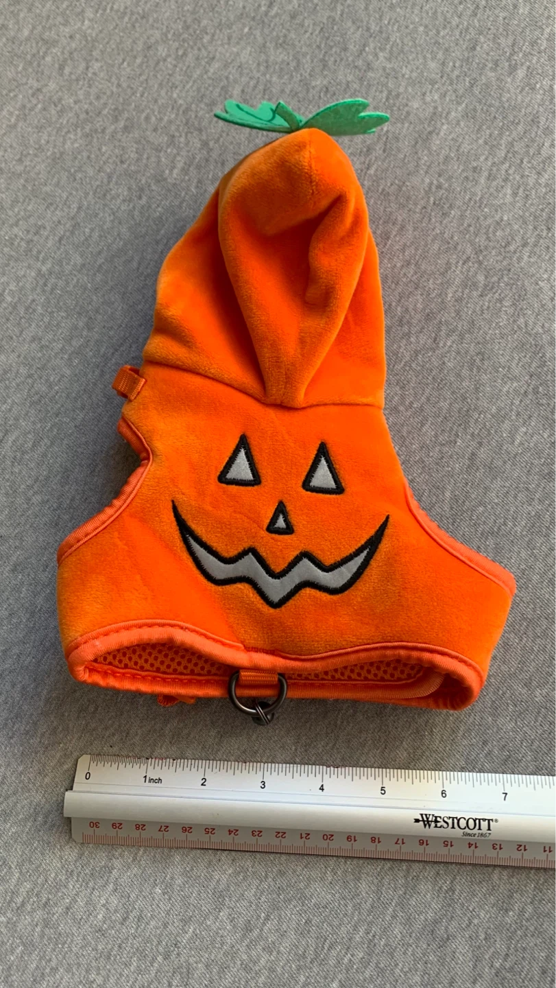 Pumpkin Cat Costume / Jacket
