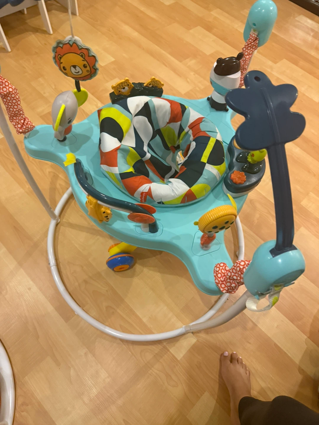 Fisher-Price Deluxe Jumperoo - photo 2