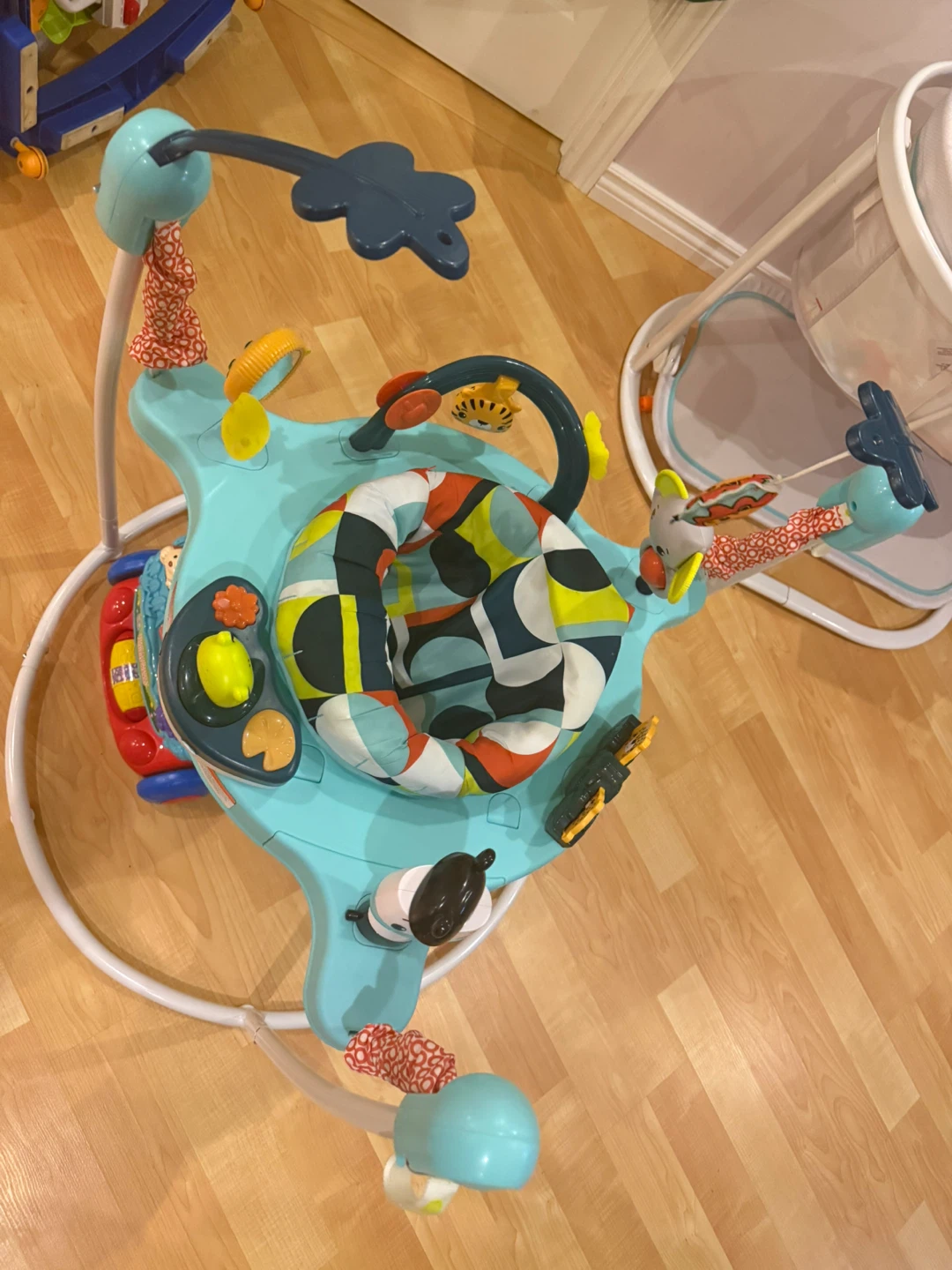 Fisher-Price Deluxe Jumperoo