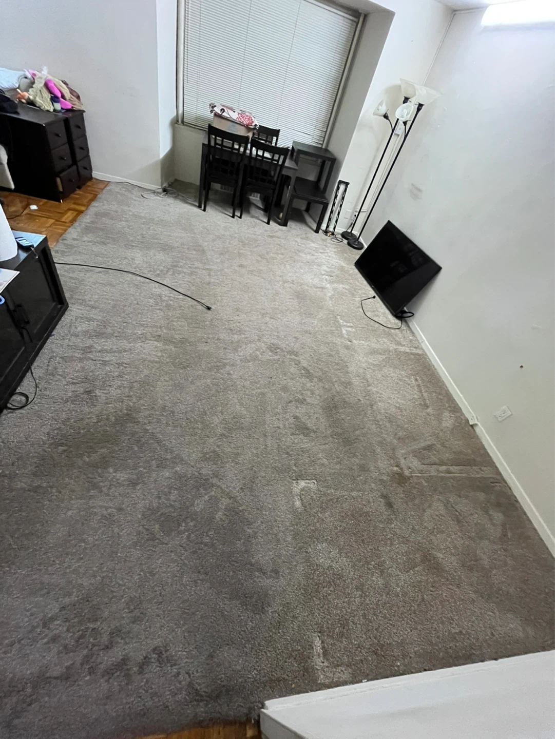 Beige carpet 16x11