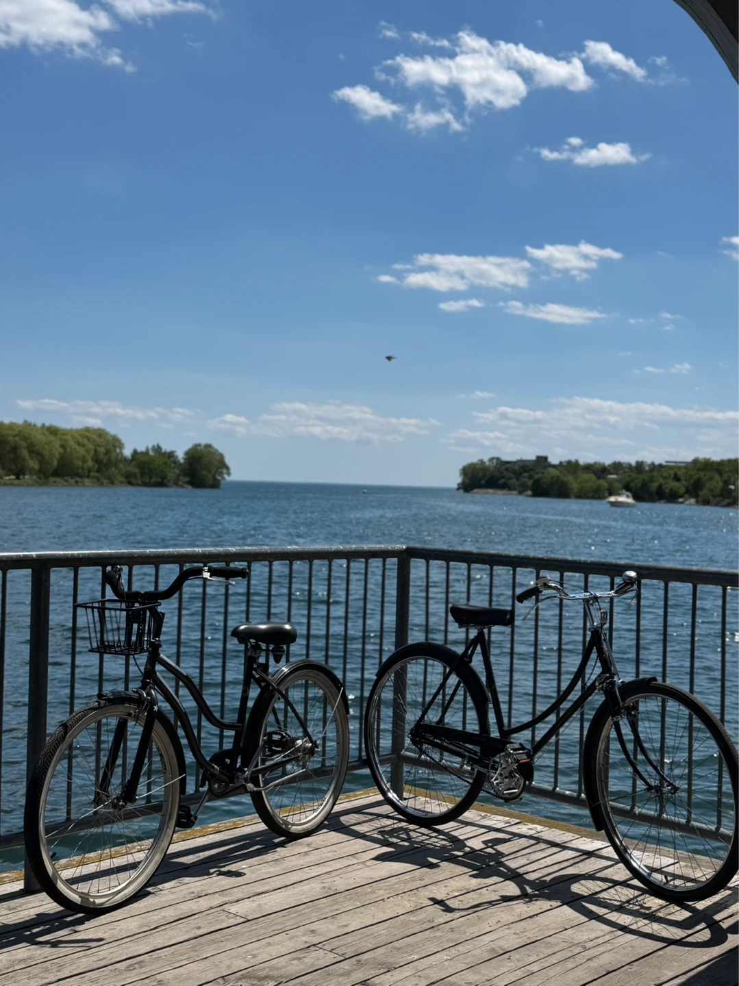 Raleigh Tourist Bicycle