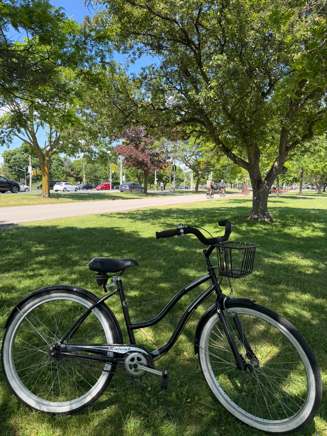 Raleigh Tourist Bicycle - photo 5