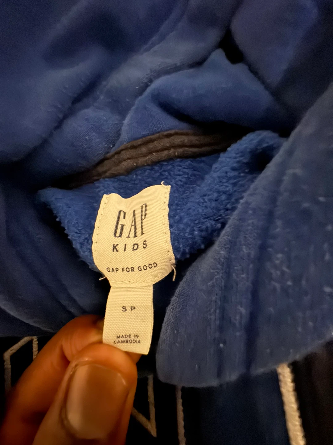 Blue GAP Kids Hoodie - photo 3