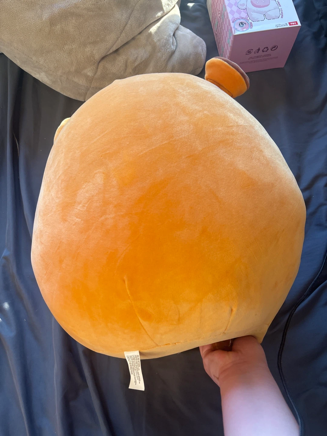 Plush Capybara Holding Boba Tea Pillow - photo 2