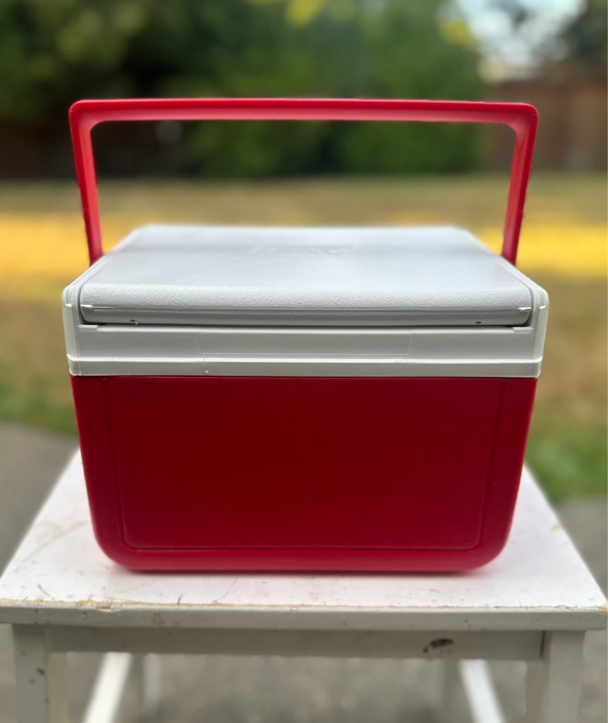 Coleman 5 QT (4.7 L) Personal Cooler with FlipLid - photo 2