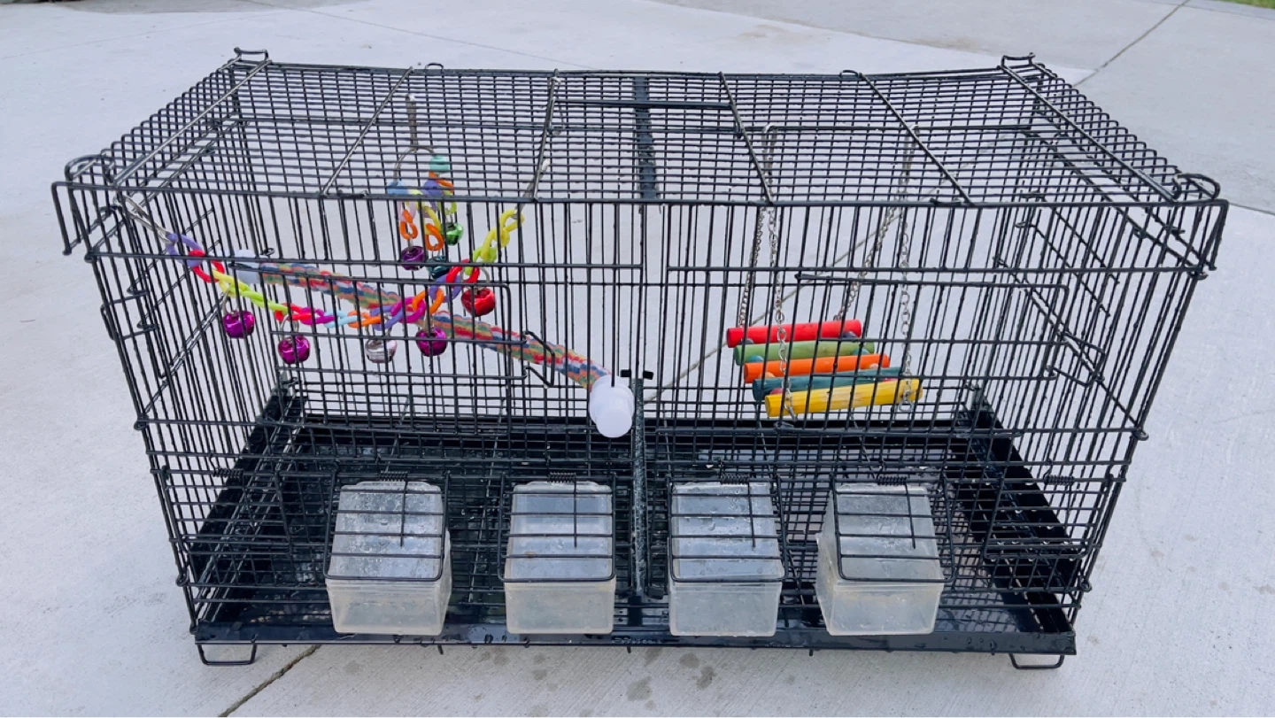 Bird Cage with Toys and Feeders