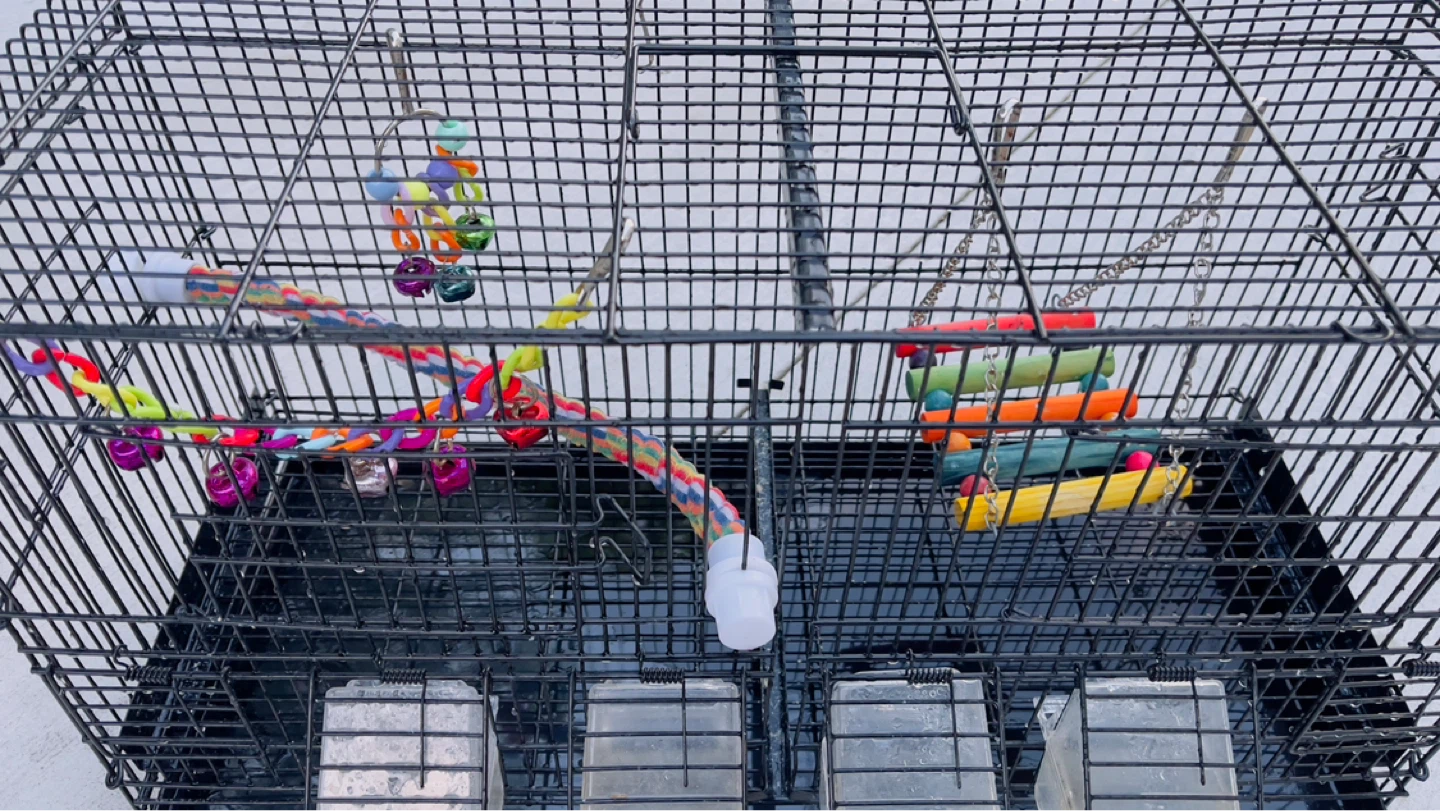 Bird Cage with Toys and Feeders - photo 3