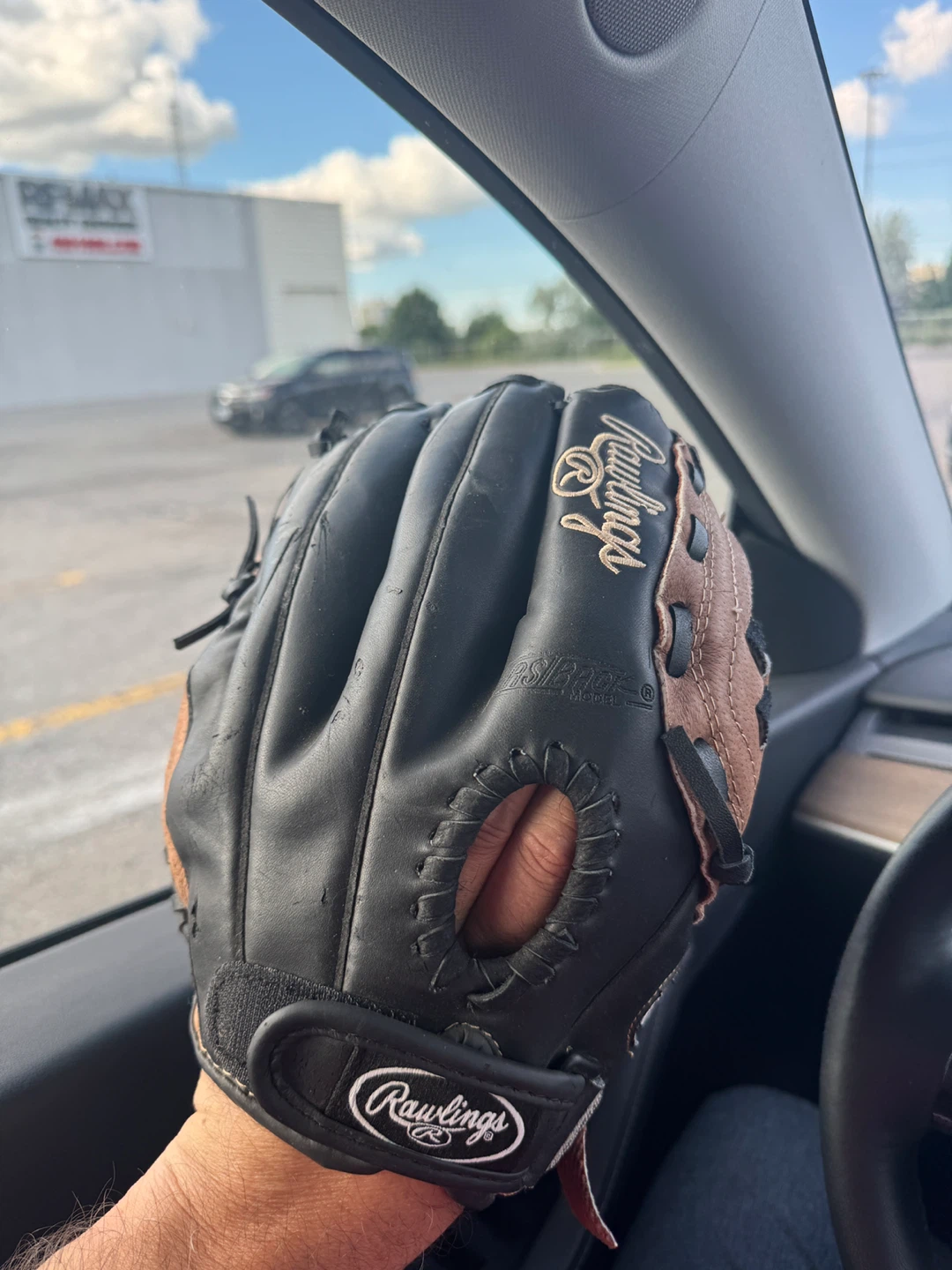 Rawlings PM120BT 12 Inch Leather Palm Baseball Glove - photo 2