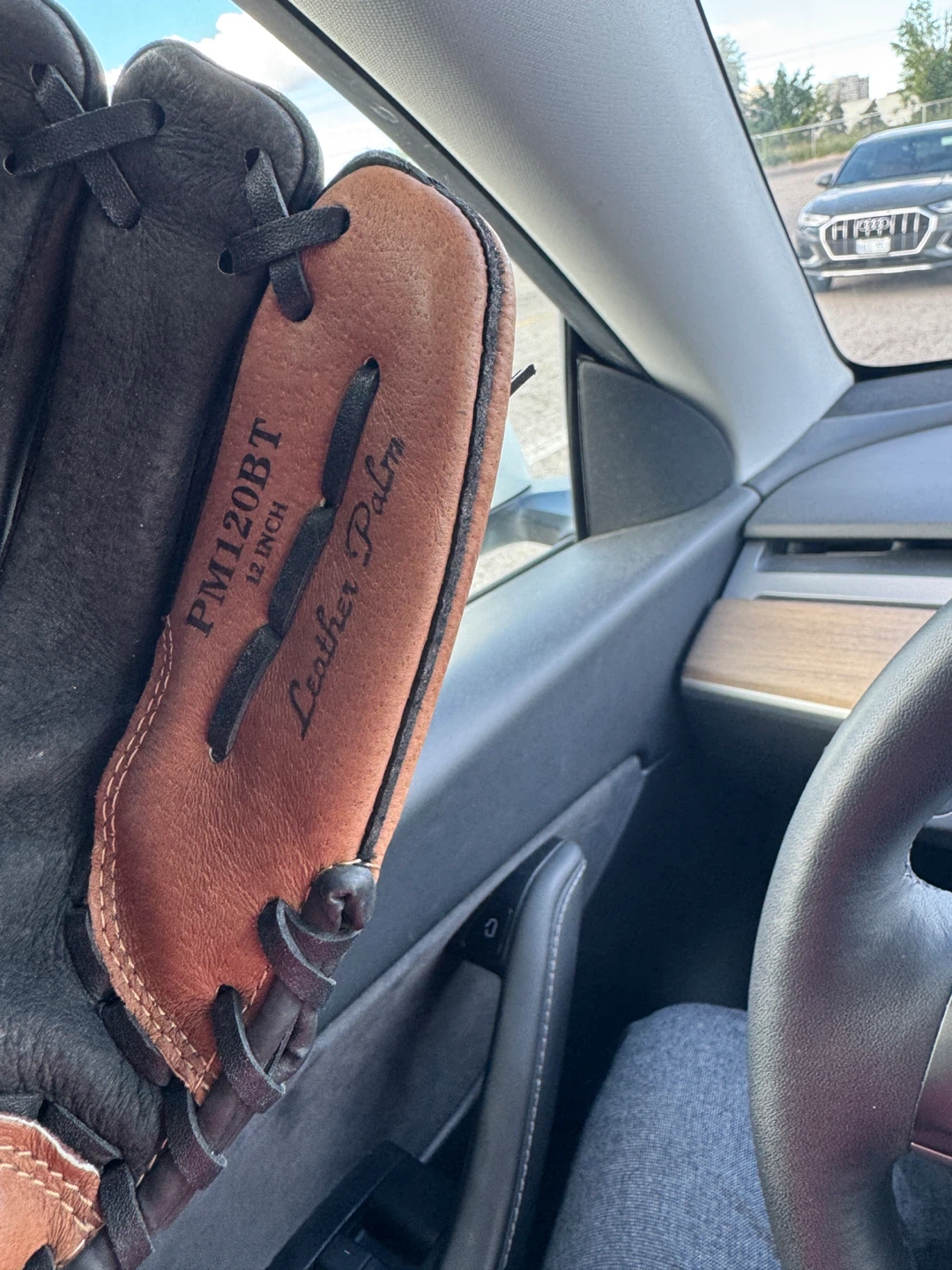 Rawlings PM120BT 12 Inch Leather Palm Baseball Glove - photo 5