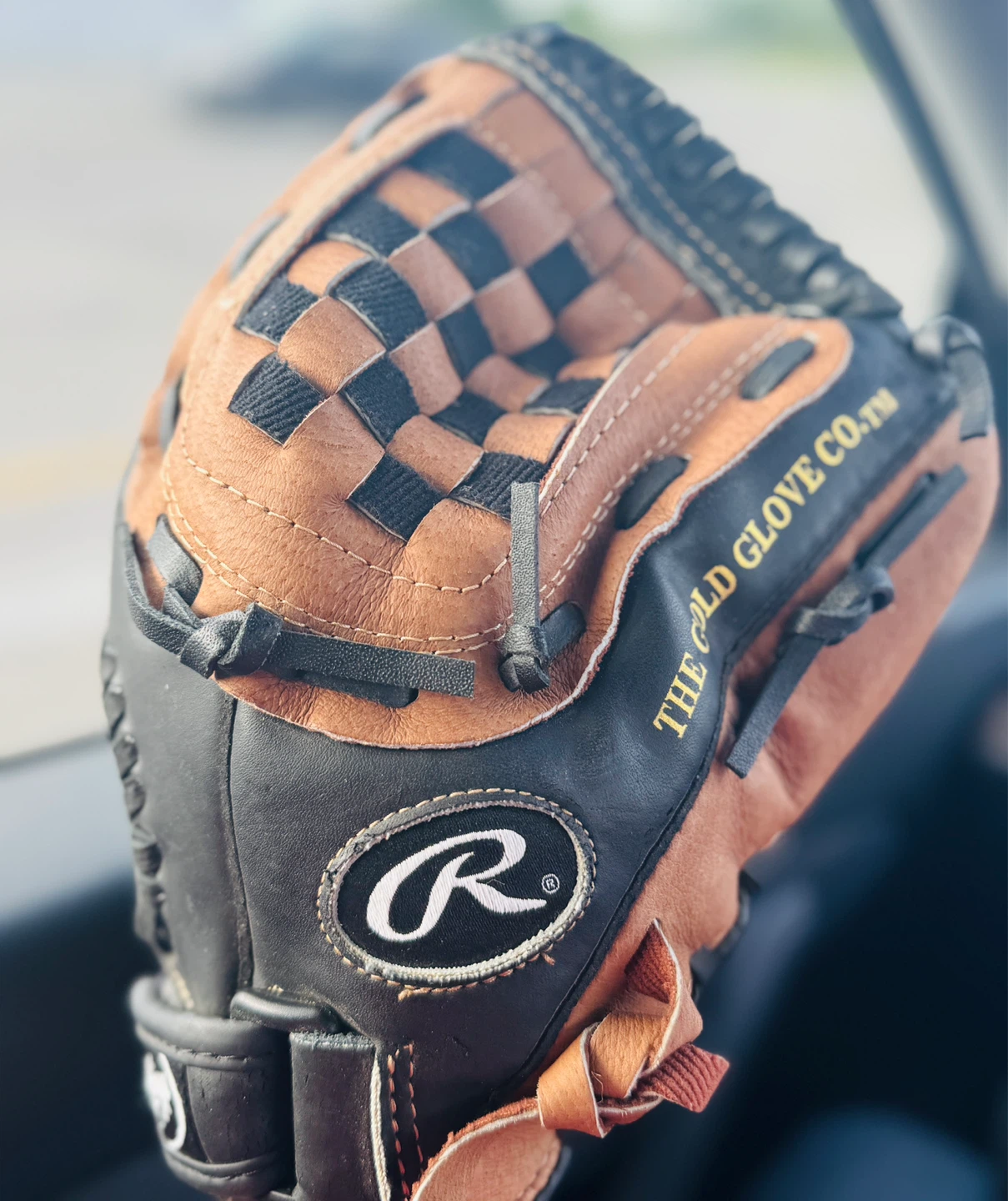 Rawlings PM120BT 12 Inch Leather Palm Baseball Glove