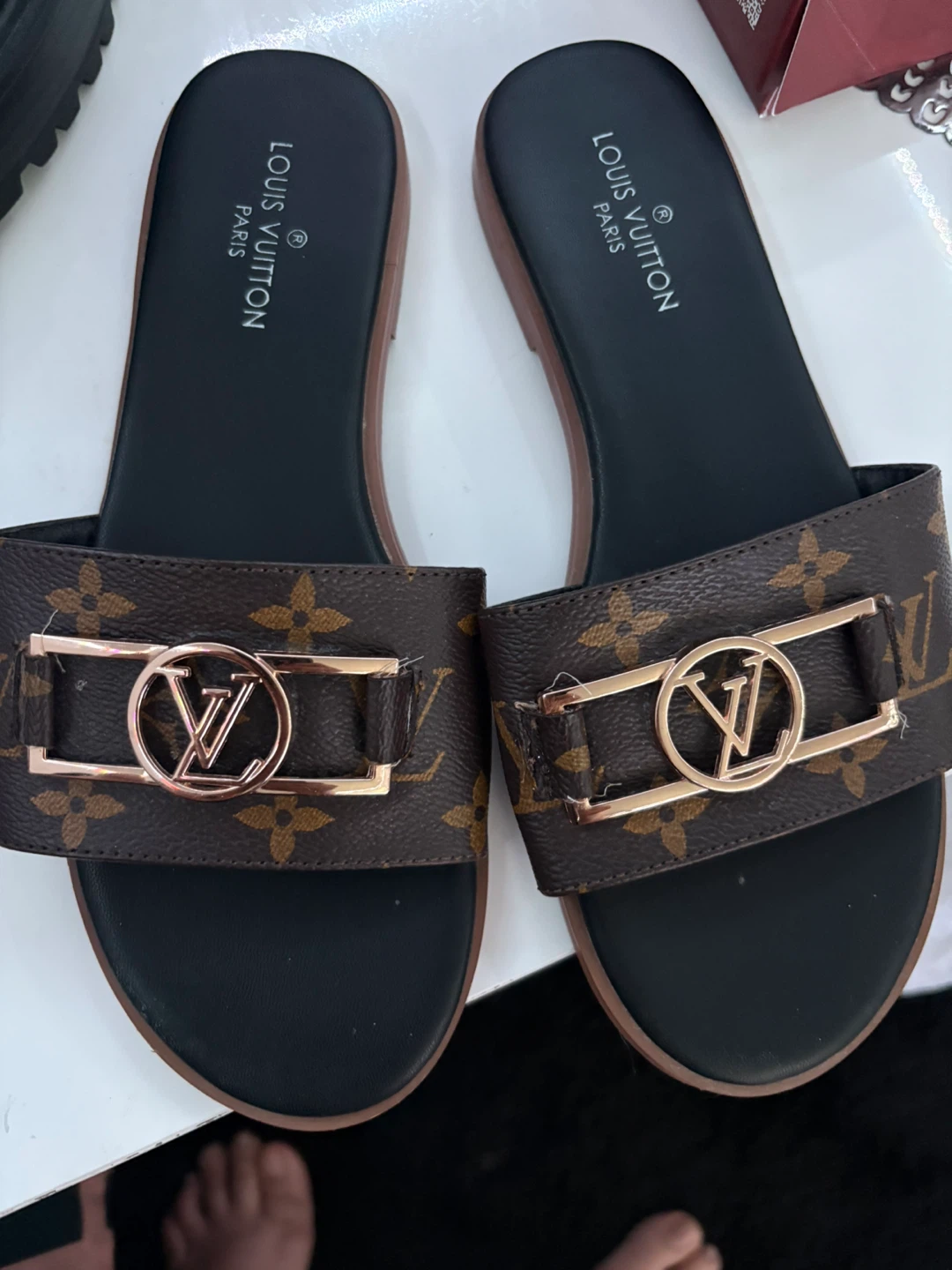 Louis Vuitton Paris Slides