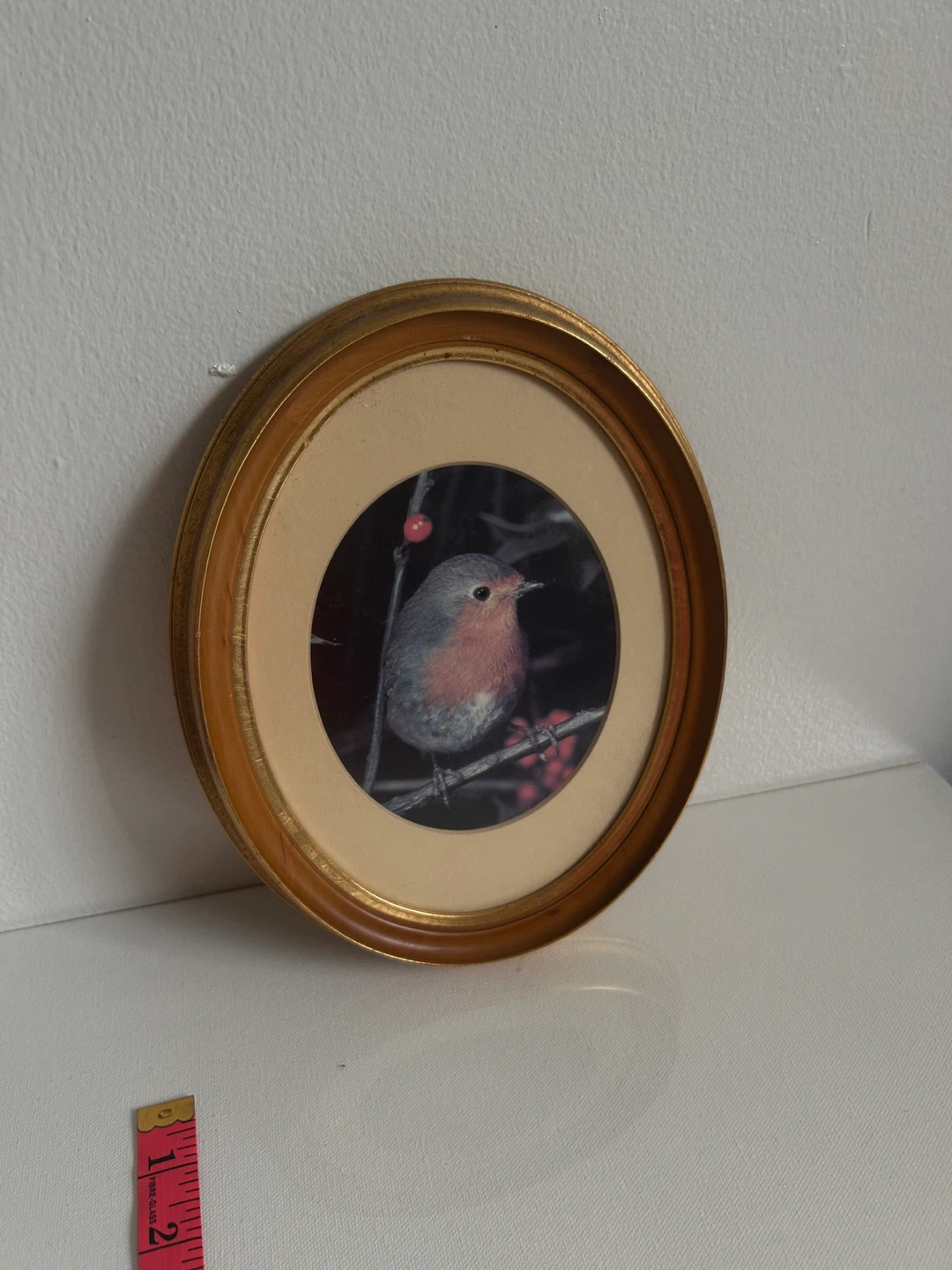 Framed Robin Print - photo 3
