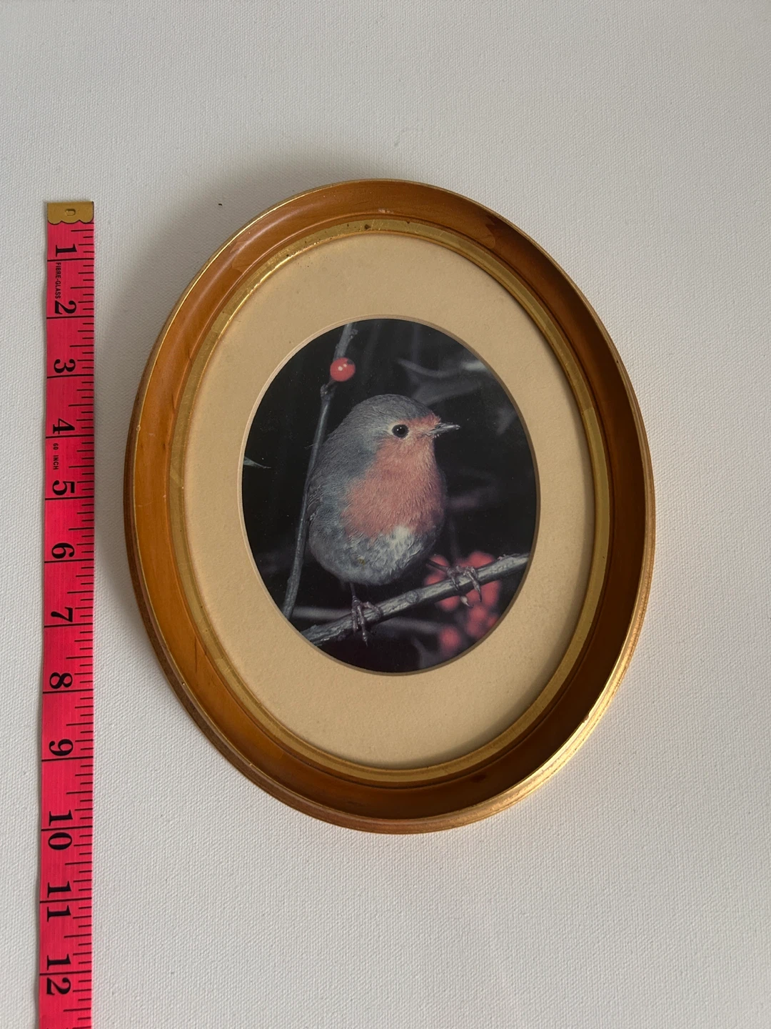 Framed Robin Print