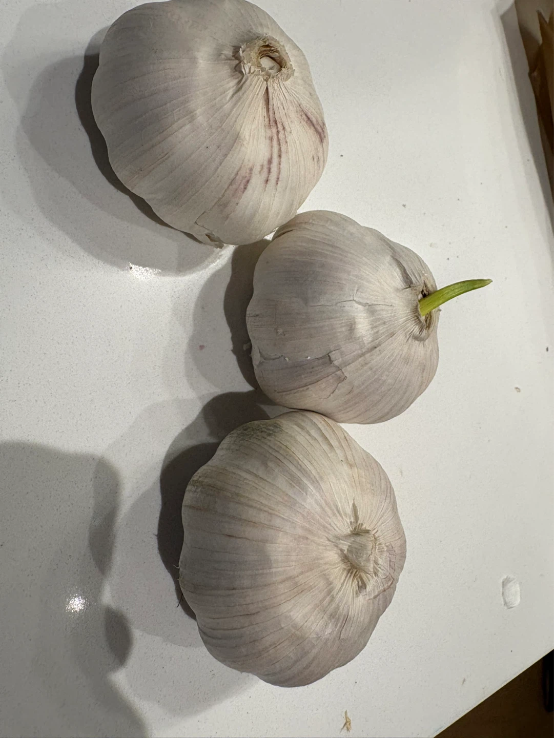 3 Garlic Bulbs