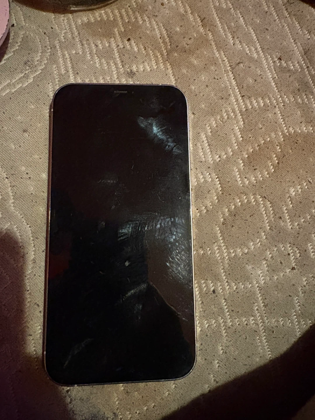 Apple iPhone 12 Pro Max - photo 4