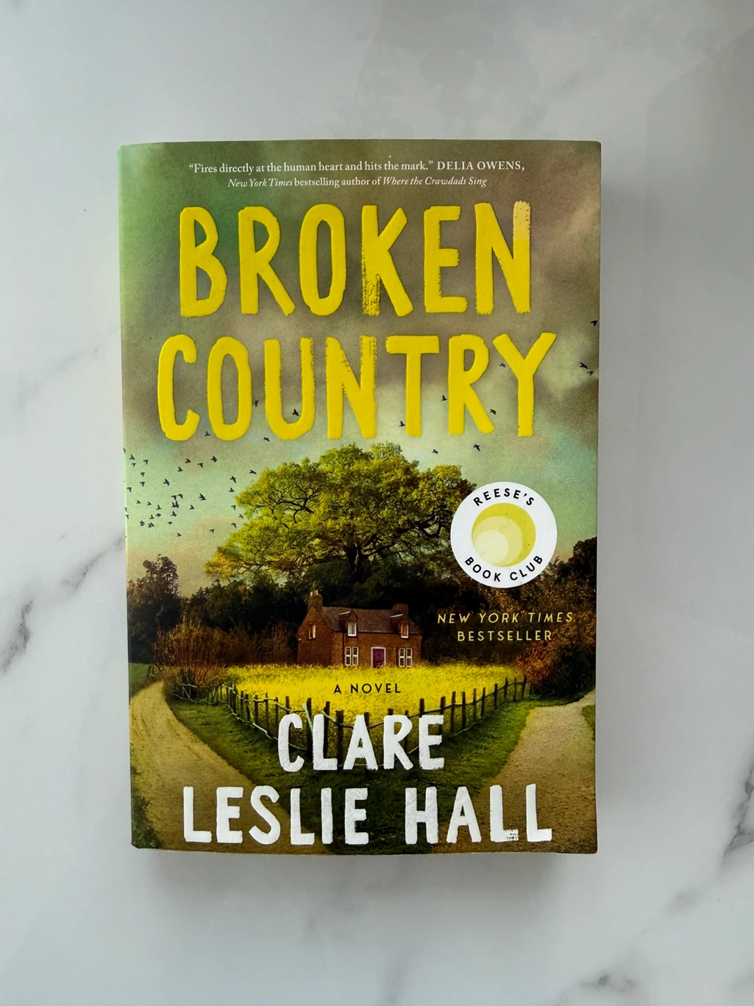 Broken Country by Clare Leslie Hall - paperback book