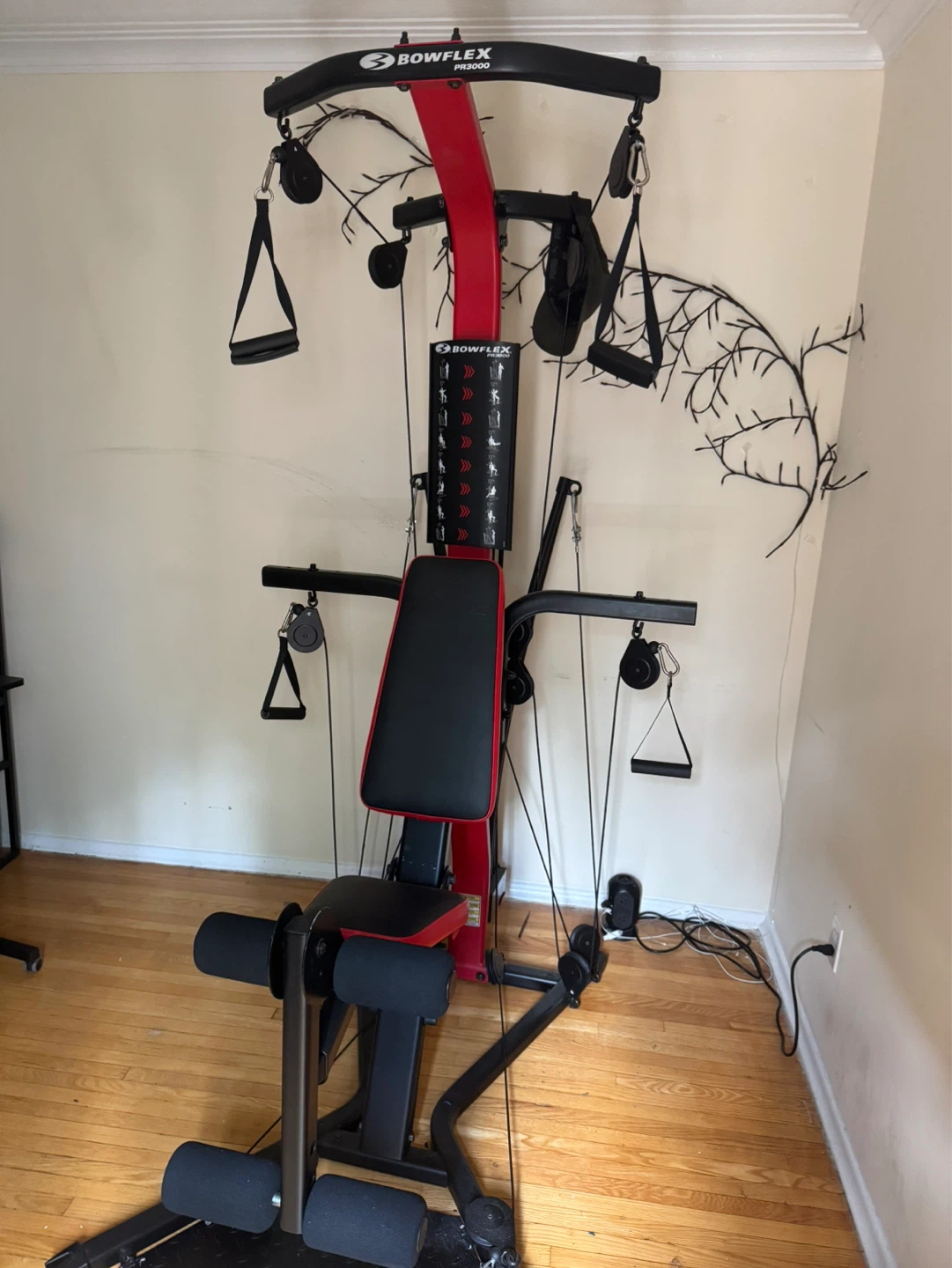 Bowflex PR3000 Home Gym - photo 4