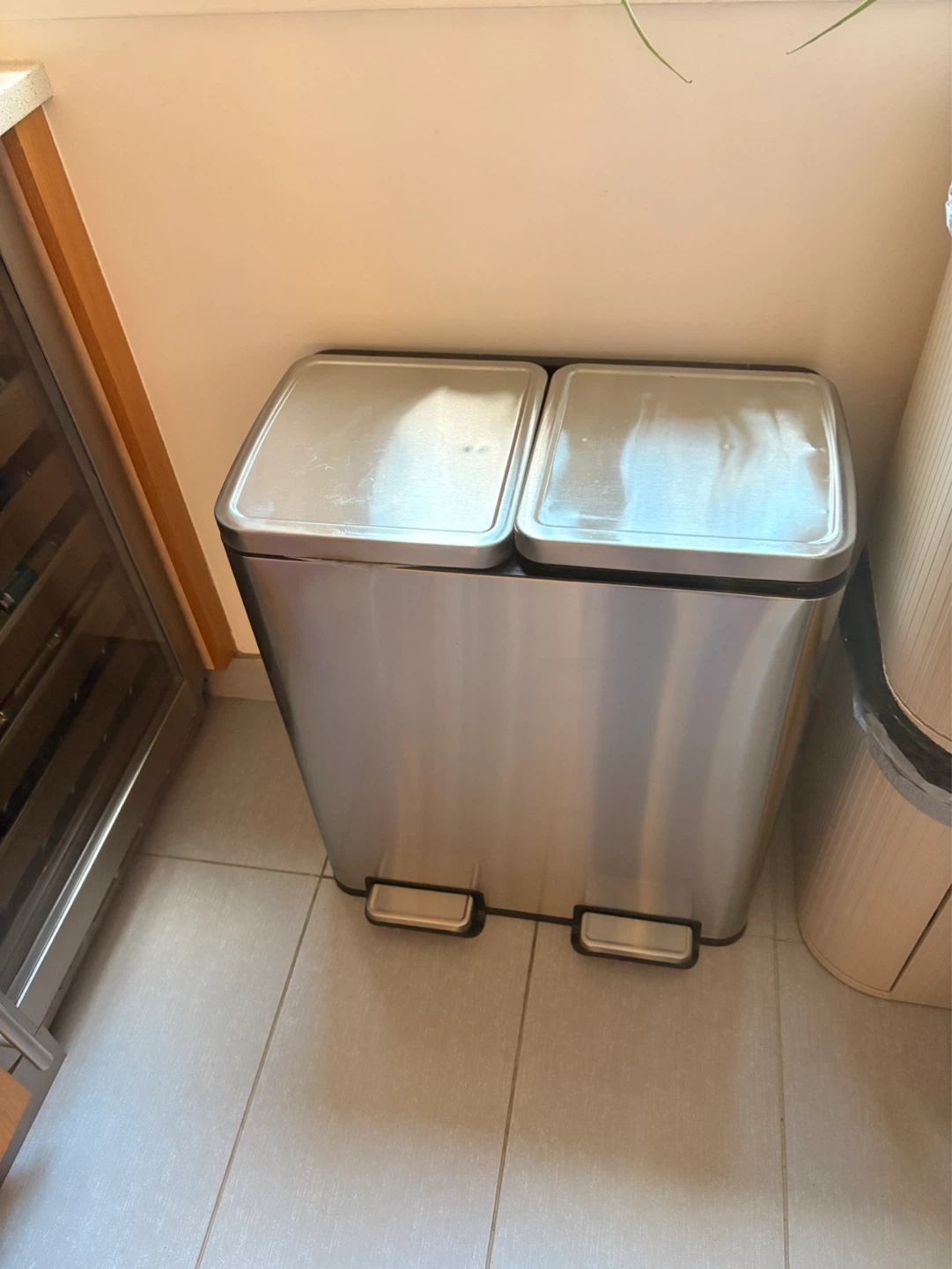 Stainless Steel Dual Compartment Step Trash Can