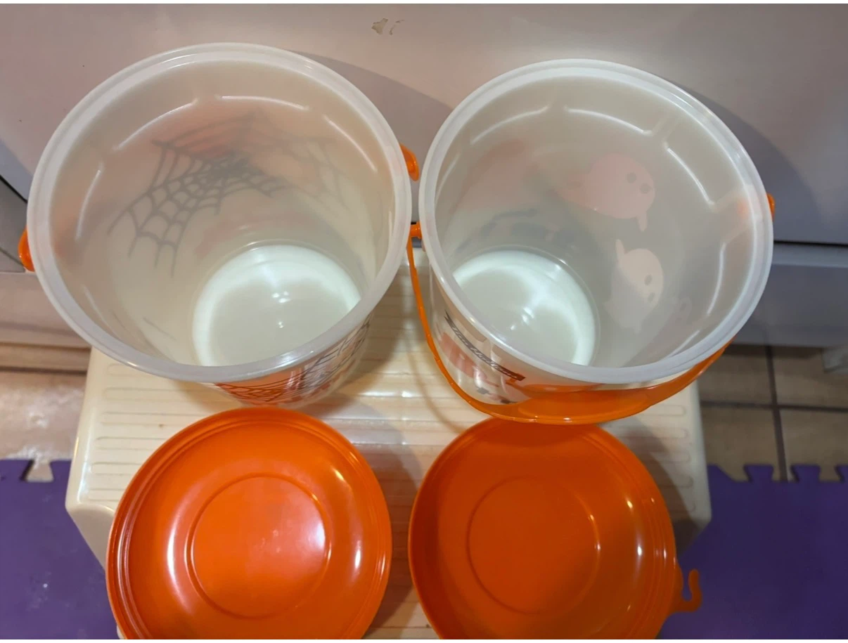 Tim Hortons Timbits Halloween Buckets (2) - Spiderweb & Ghost - photo 2
