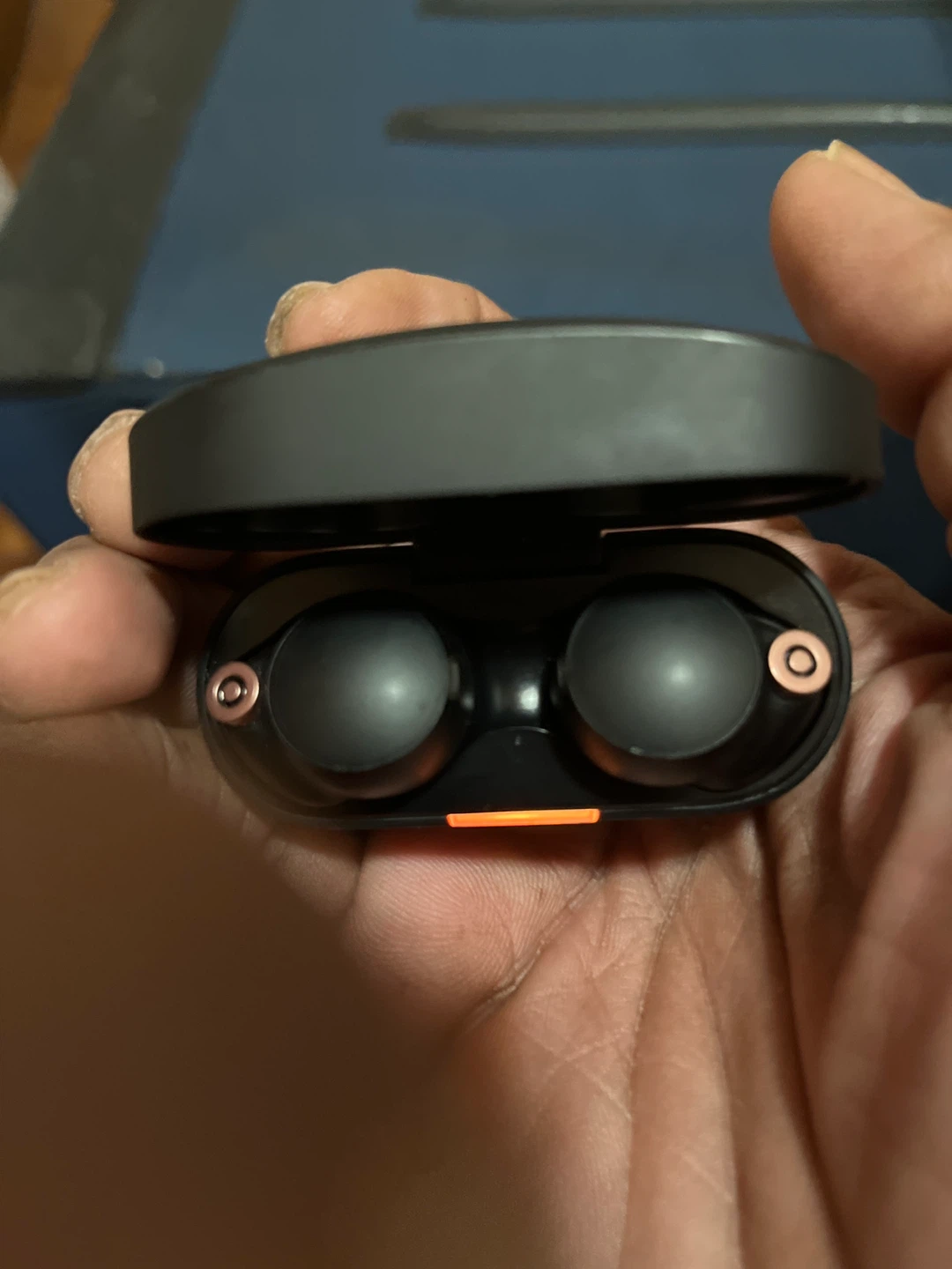 Sony Wireless Earbuds with Charging Case - photo 5