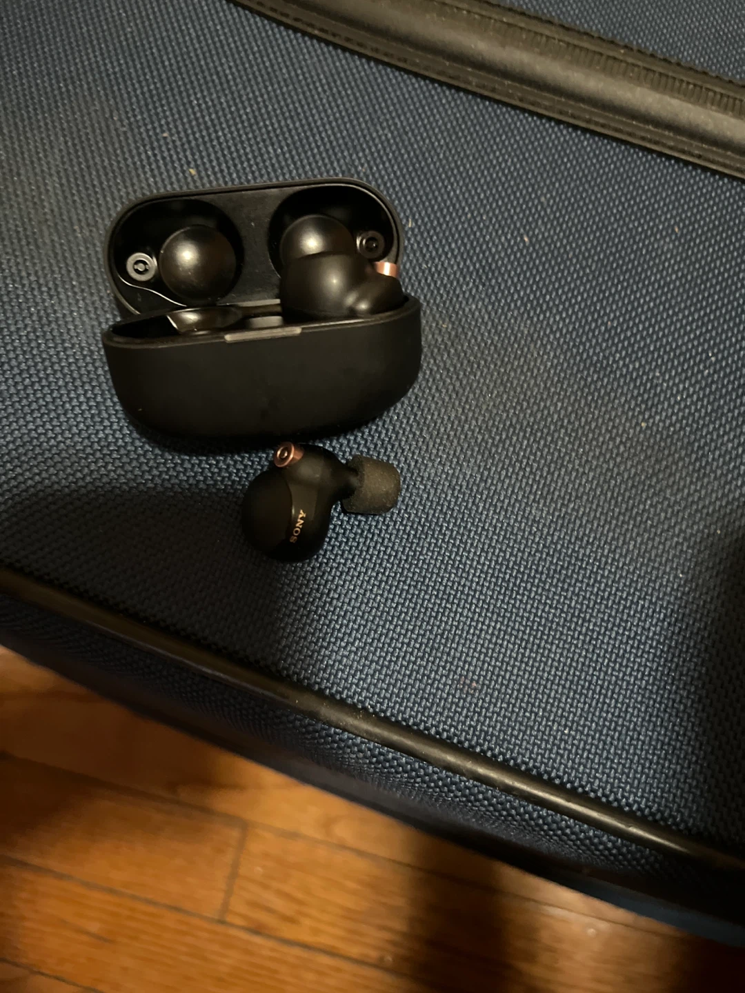 Sony Wireless Earbuds with Charging Case - photo 4