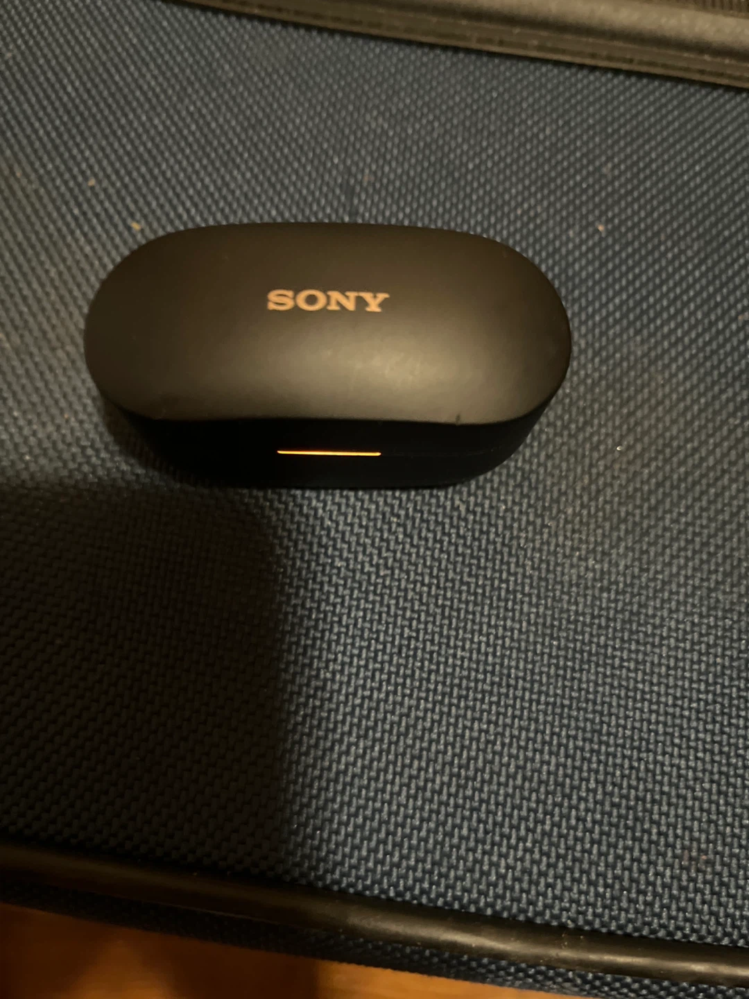 Sony Wireless Earbuds with Charging Case - photo 2