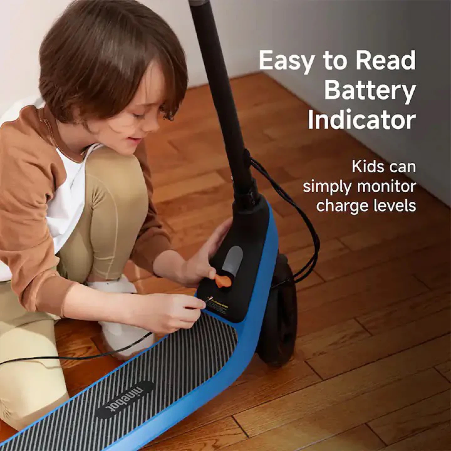 Ninebot Electric Scooter