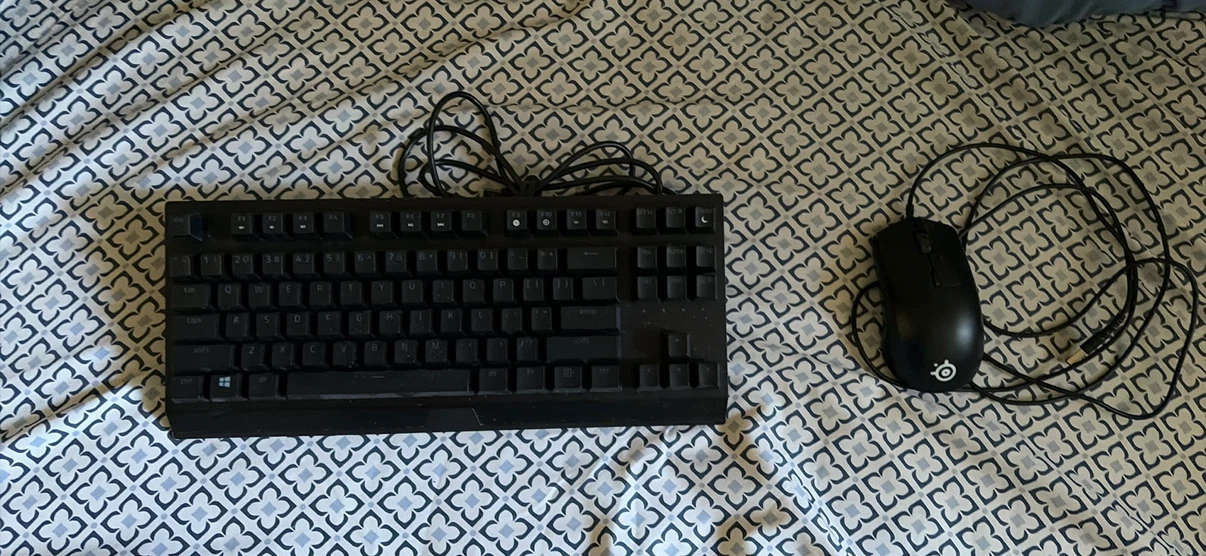 Gaming keyboard and gaming mouse