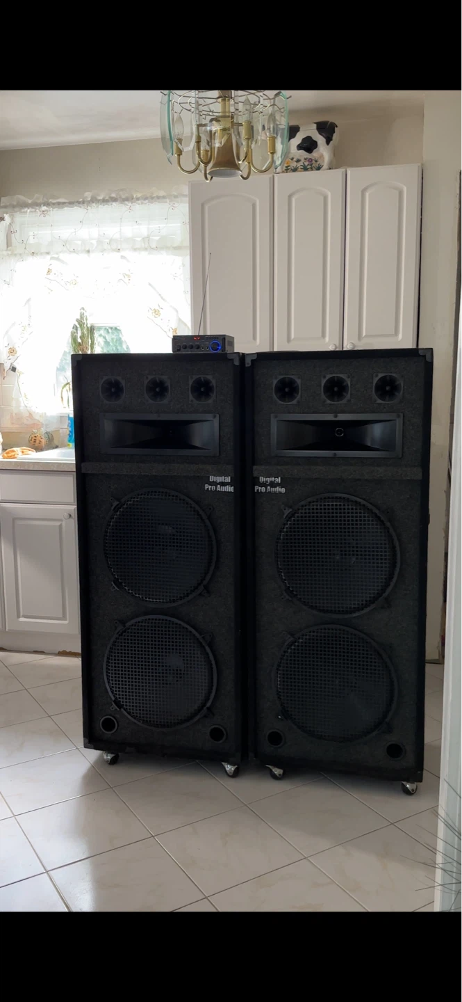 Digital Pro Audio Speakers— Pair - photo 4