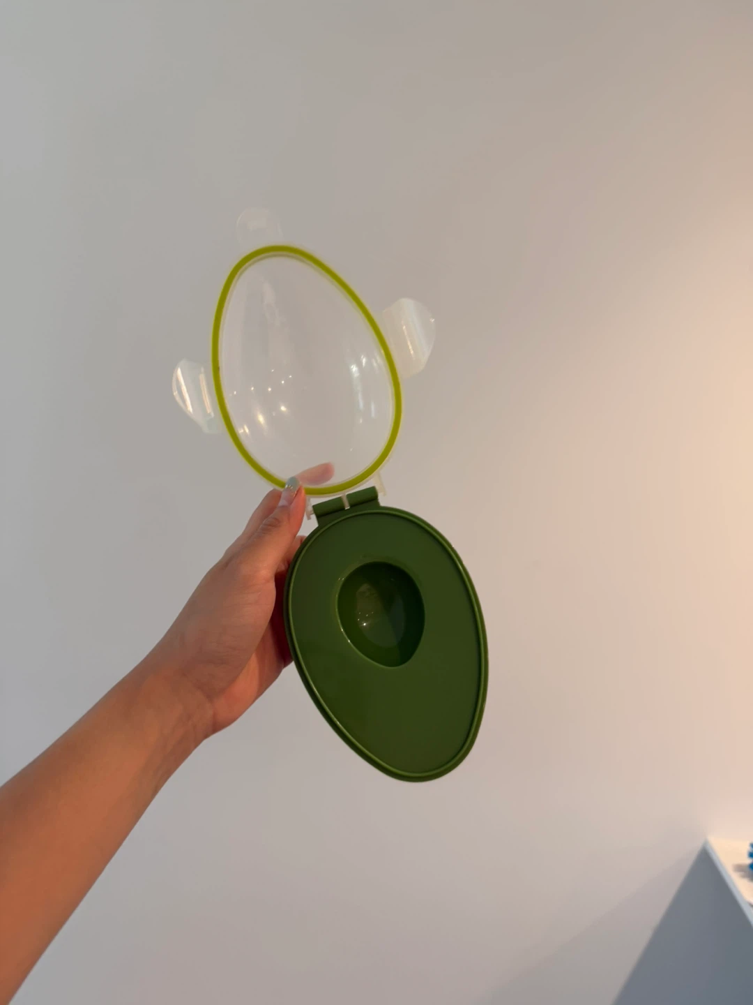 Avocado Keeper Container