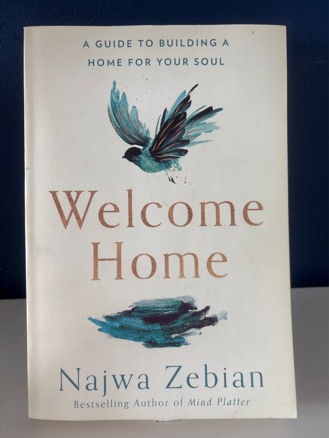Welcome Home by Najwa Zebian Book