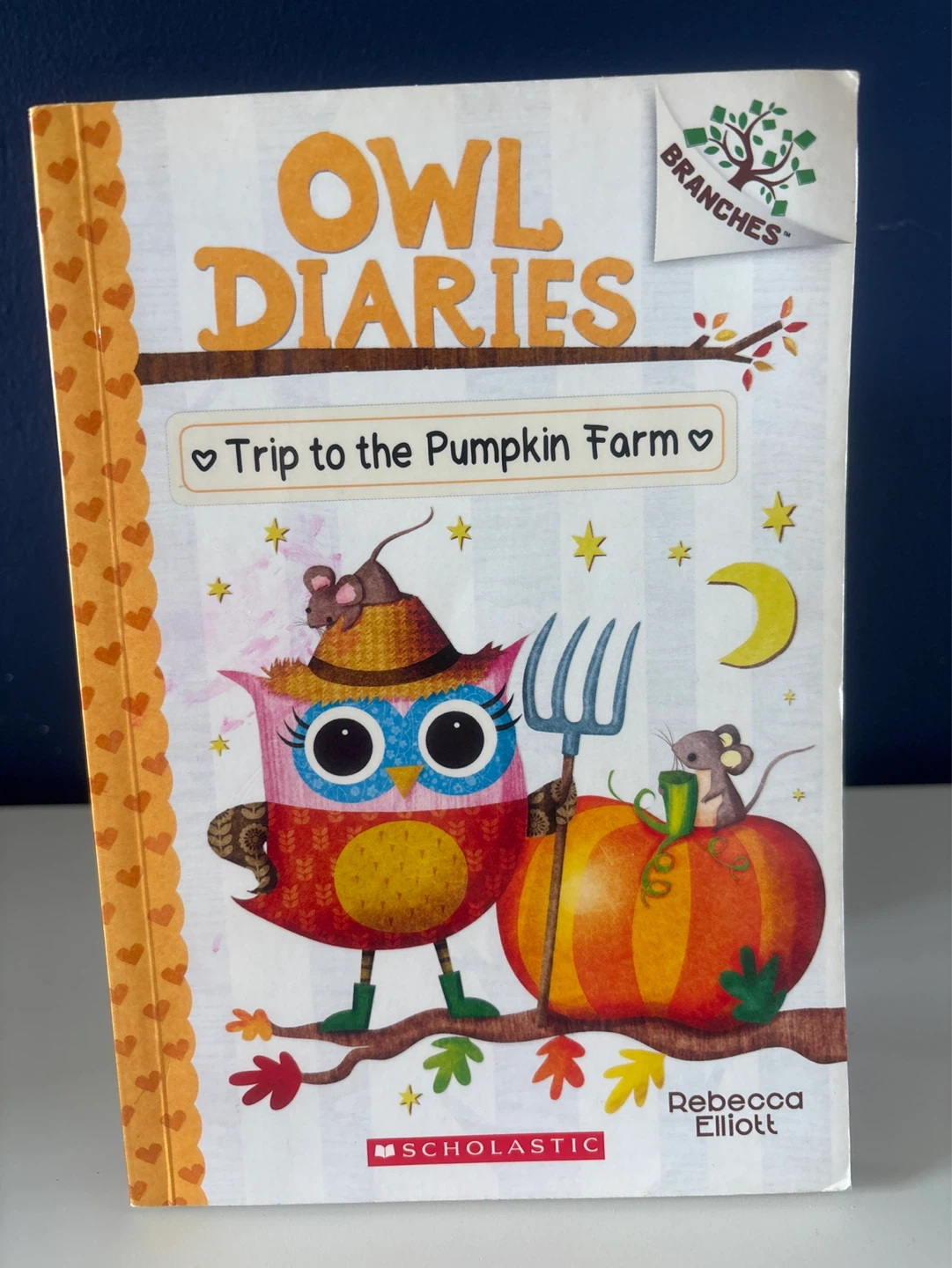 Owl Diaries: Trip to the Pumpkin Farm - photo 3