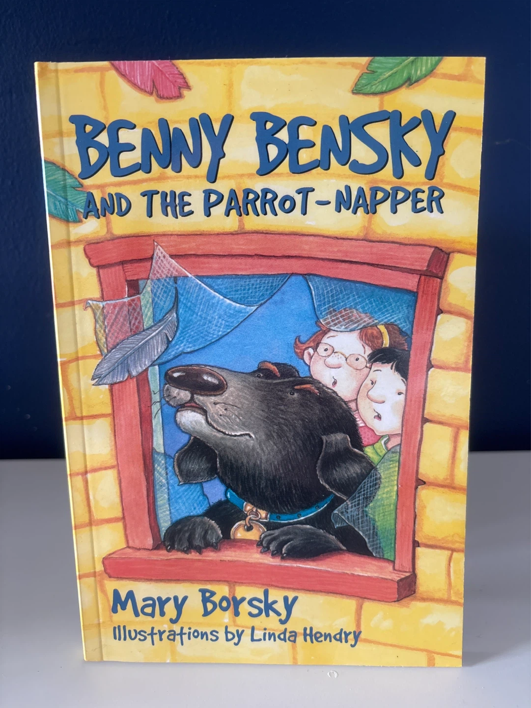 Benny Bensky and the Parrot-Napper Book