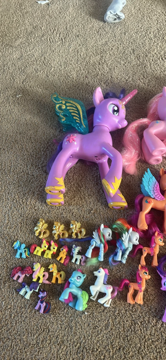 Mlp lot - photo 2