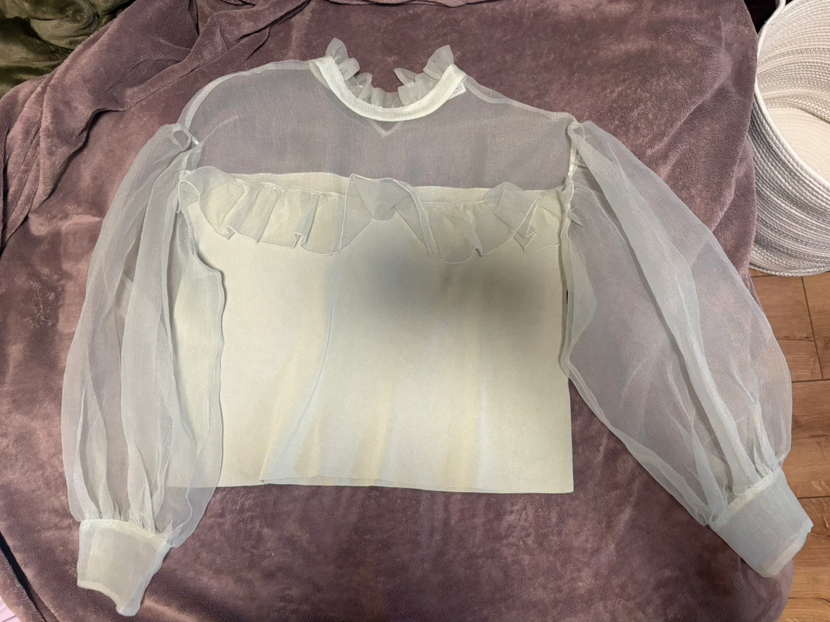 Fairy Puffy sleeve shirt