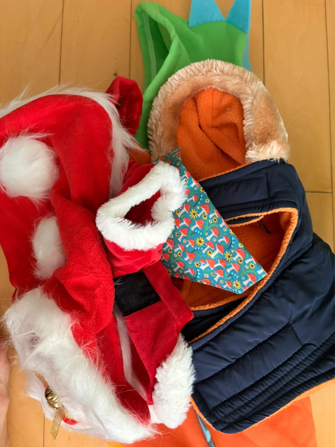 Small Pet Costumes