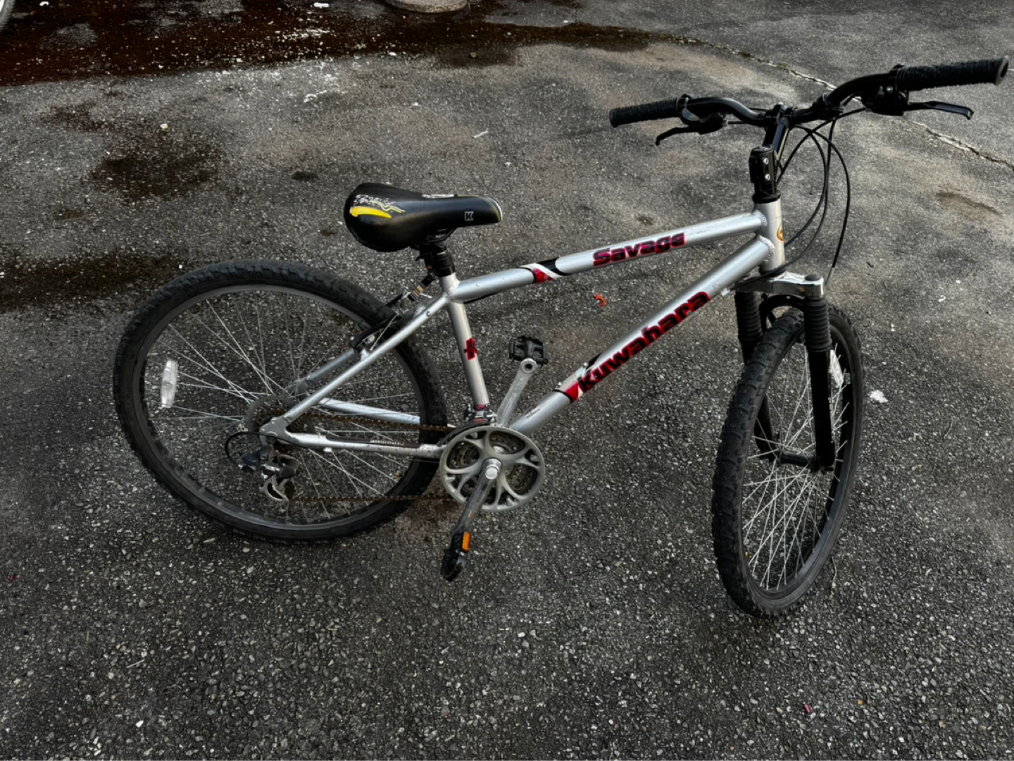 Silver Savage Mountain Bike