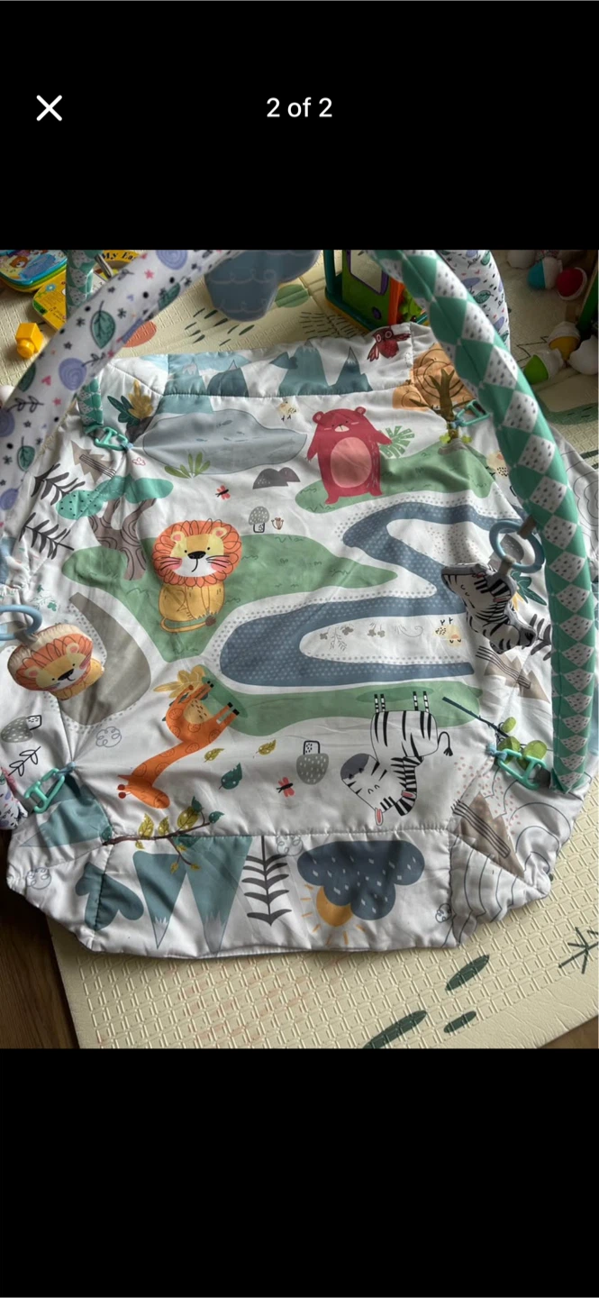 LBaby Play Mat & Gym - photo 2