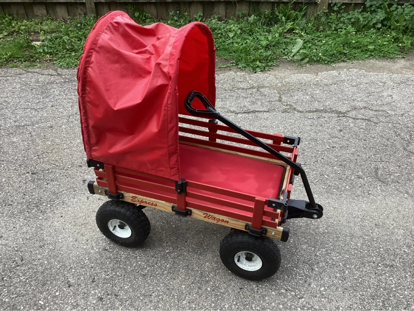 Express Wagon with Red Canopy