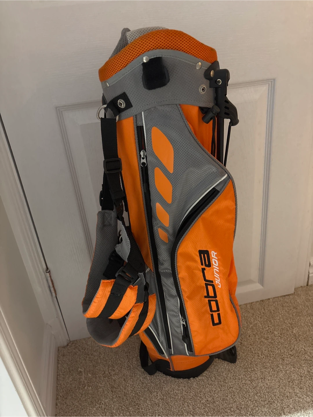 Cobra Junior Golf Bag