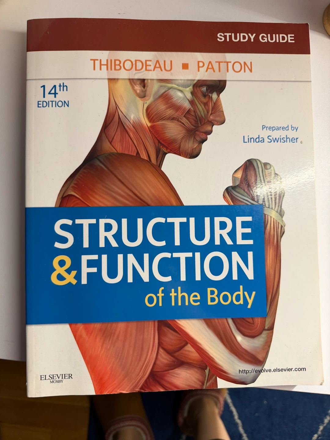 Structure & Function of the Body Study Guide 14th Edition