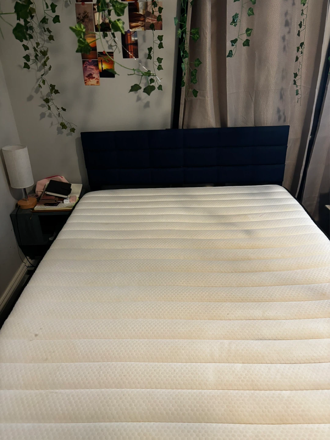 Double Upholstered Bed Frame and Free Mattress - photo 2