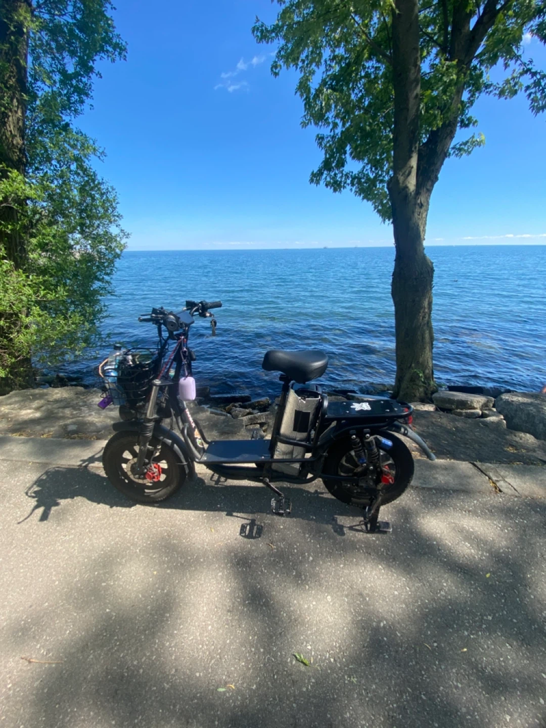Tank x “escooty” fat tire e-bike 48V