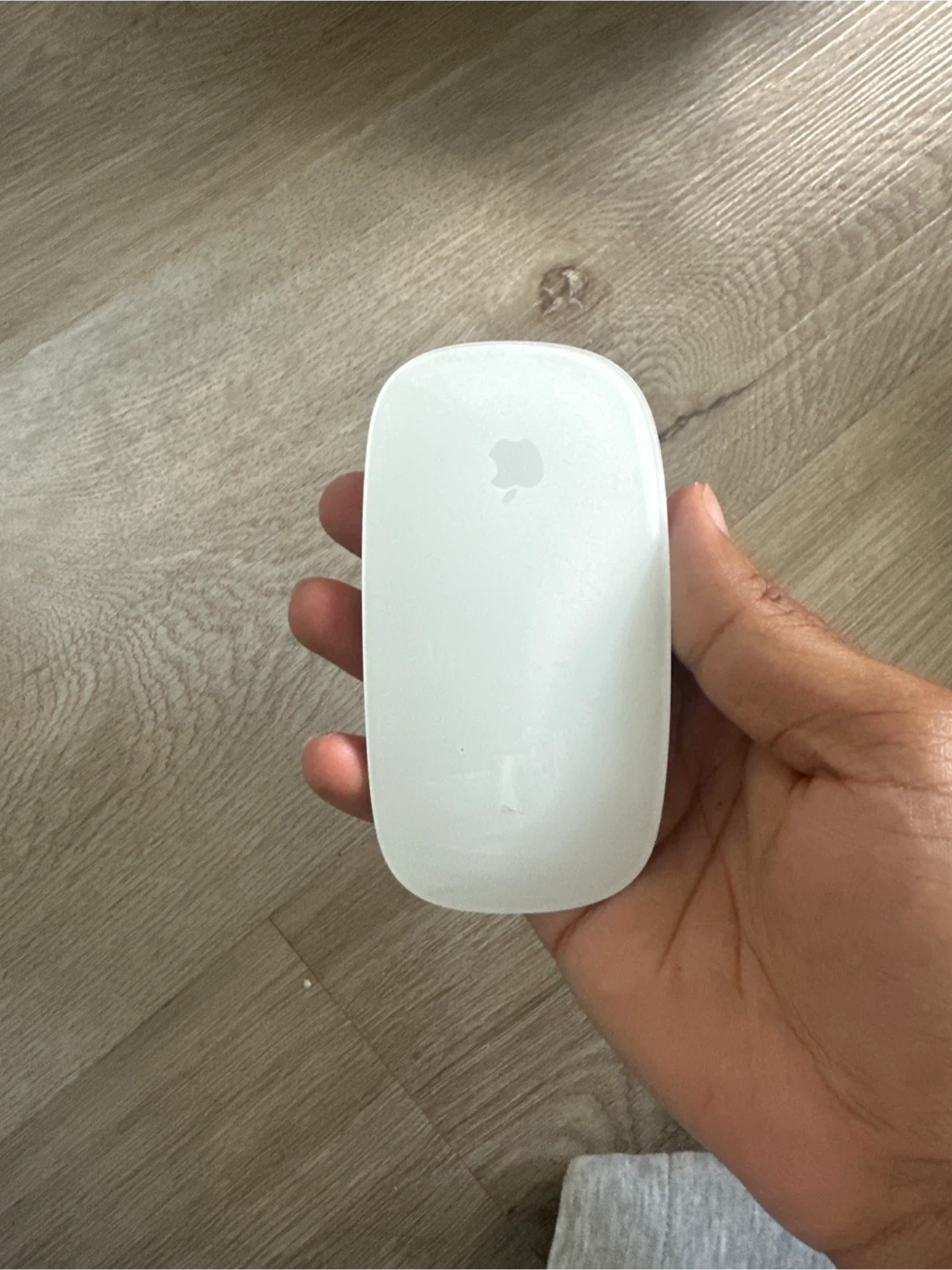 Apple Magic Mouse