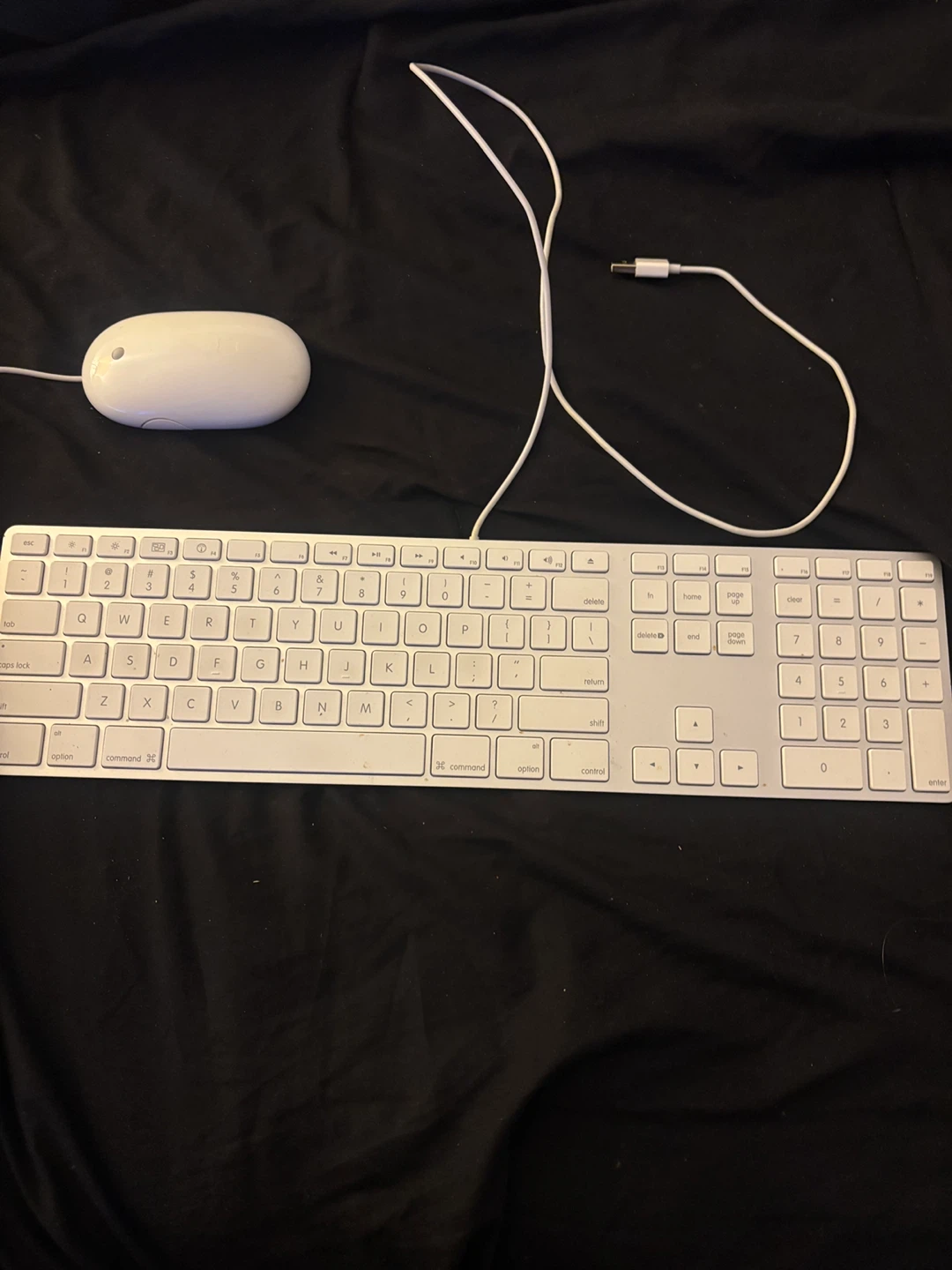 Apple USB Keyboard w/ numeric keypad and Mouse