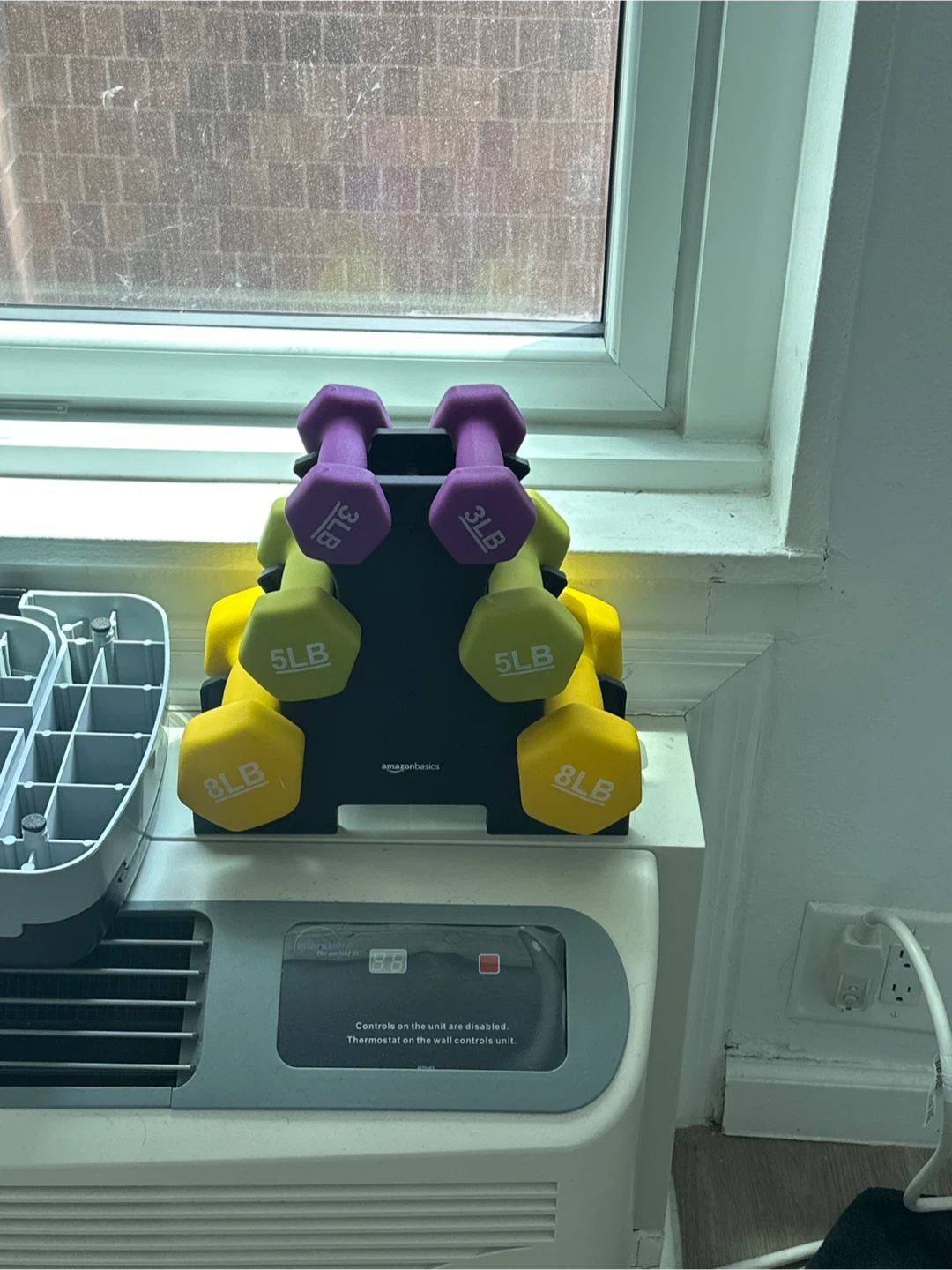 Amazon Basics Dumbbell Set with Rack