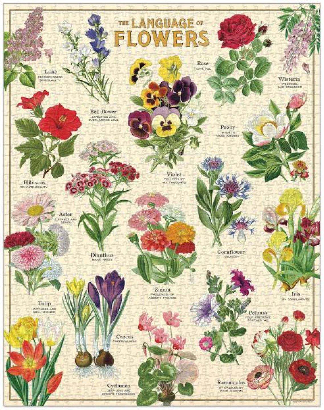 Cavallini & Co. Vintage Puzzle - The Language of Flowers - photo 3