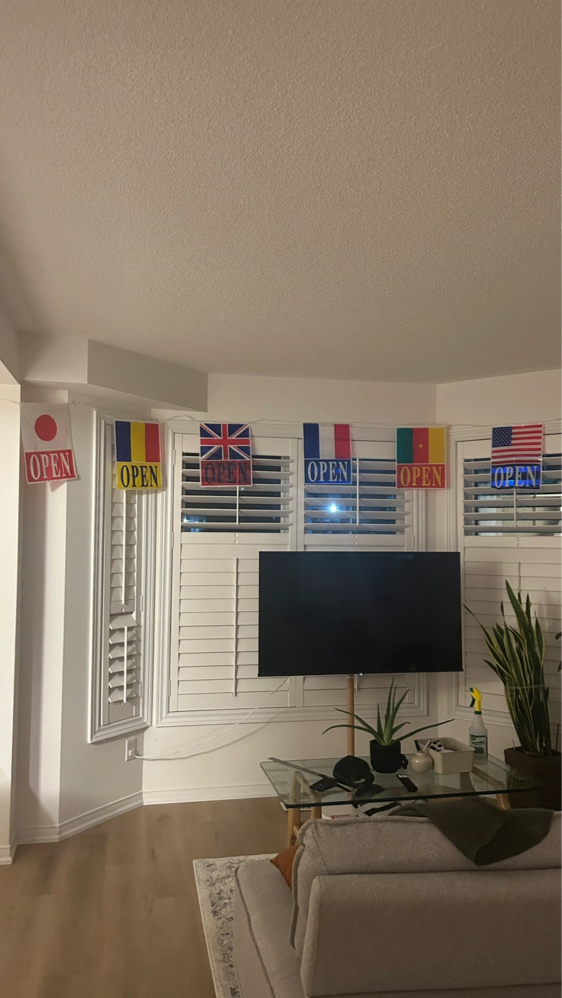 7m long International String Flags - photo 3