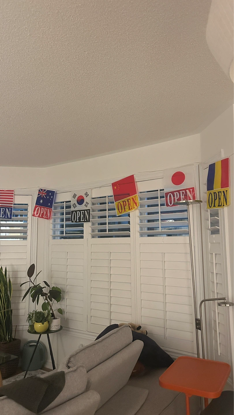 7m long International String Flags - photo 2
