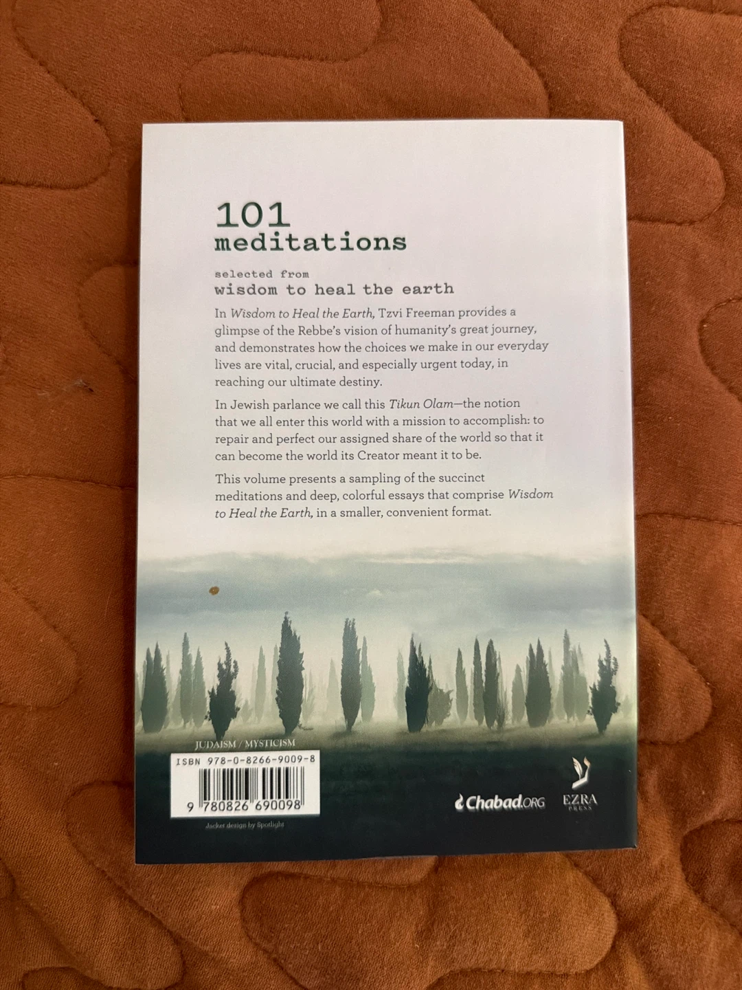 101 Meditations to Wisdom to Heal the Earth Book - photo 3